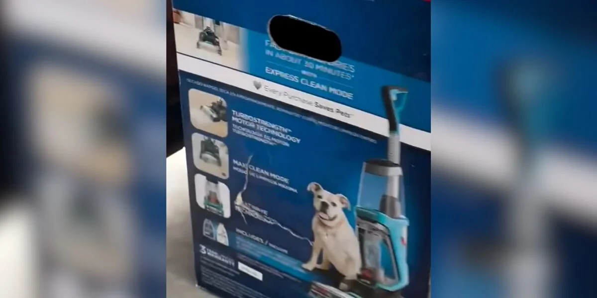 Scatola abbandonata di detergente per tappeti in realtà contiene un’anima ‘disperata’ intrappolata all’interno
